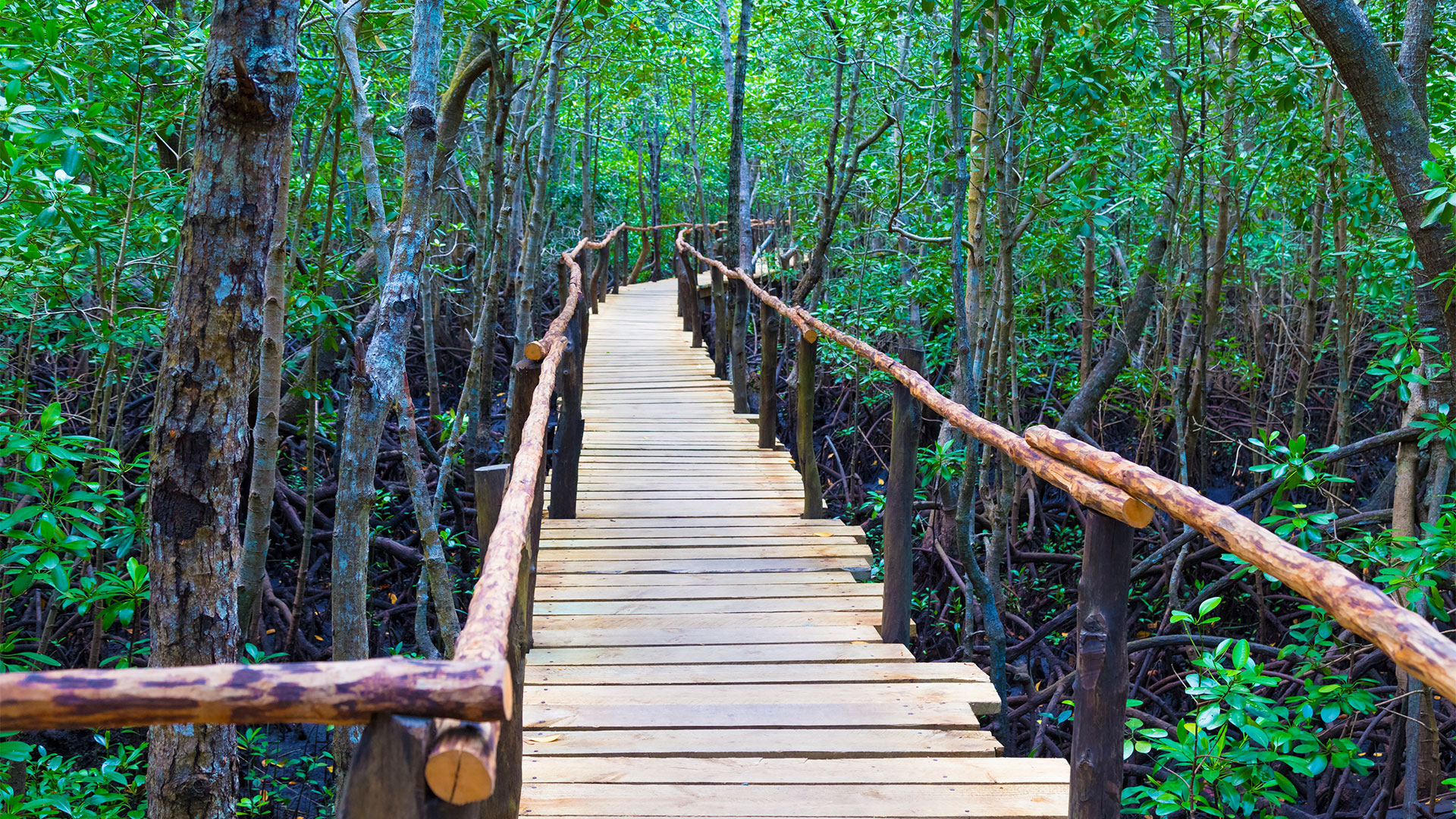 F-Zeen Boutique Hotel Zanzibar: Uroa hotels, boutique hotels zanzibar, beachfront hotel zanzibar