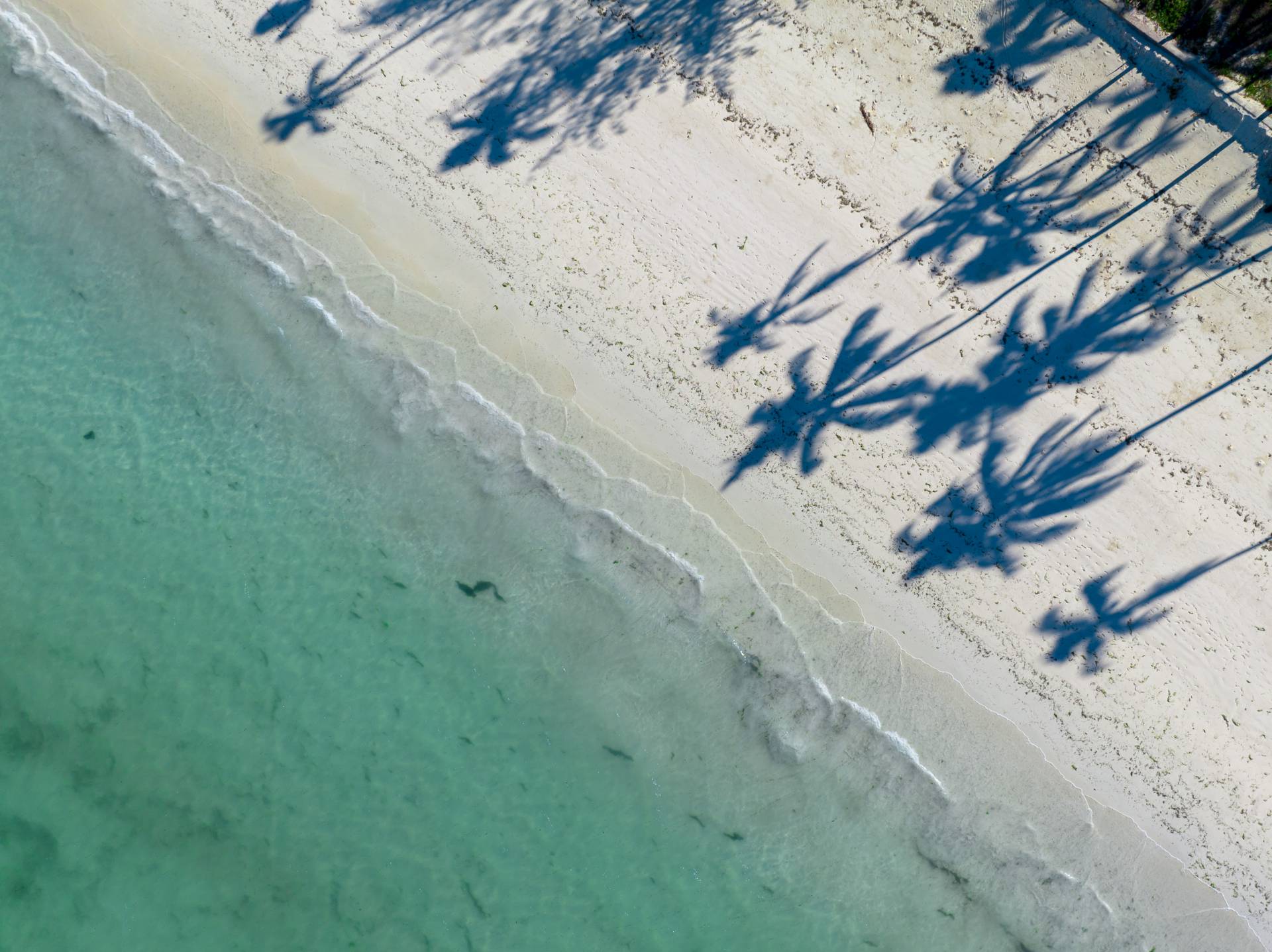 <span>UROA, ZANZIBAR</span>F-ZEEN BOUTIQUE HOTEL 