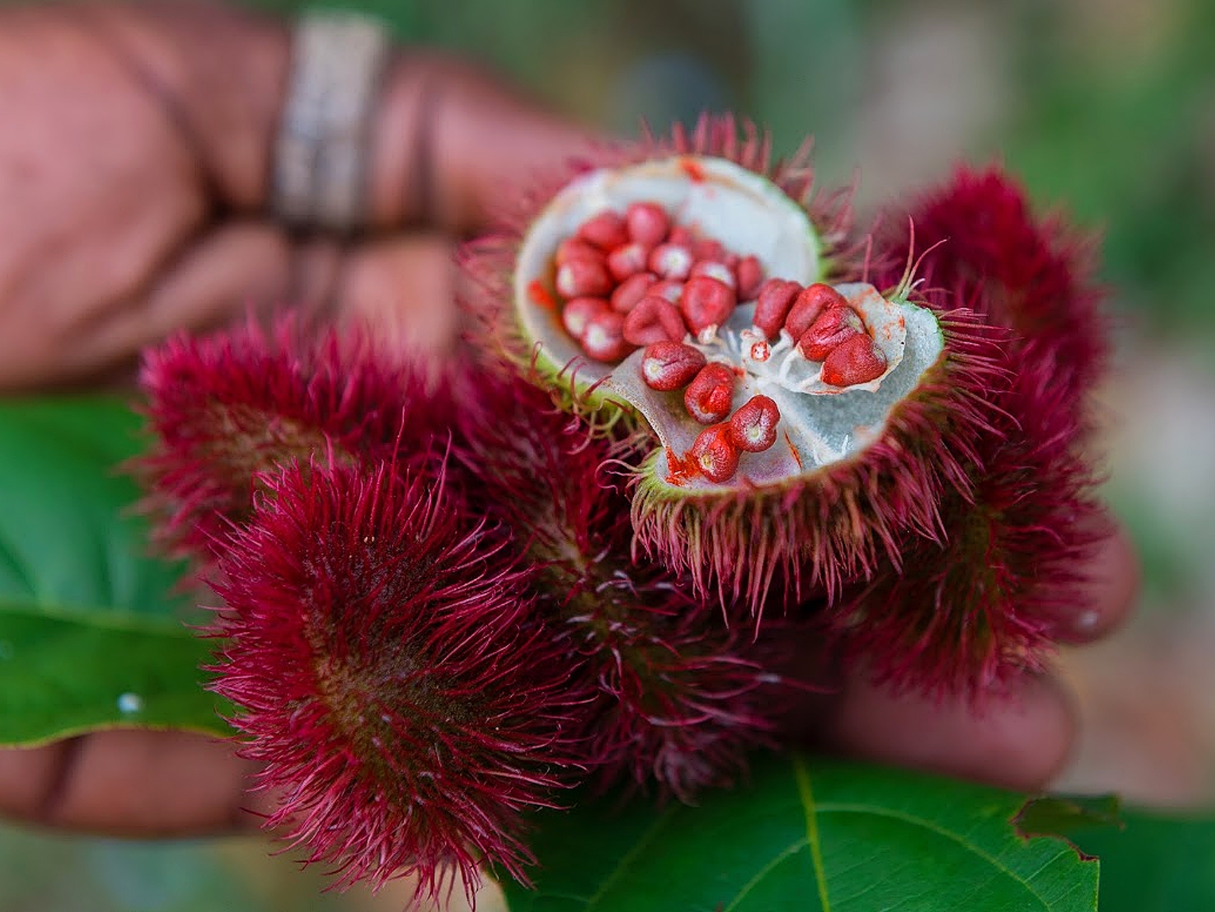 F-Zeen Boutique Hotel Zanzibar: Uroa hotels, boutique hotels zanzibar, beachfront hotel zanzibar