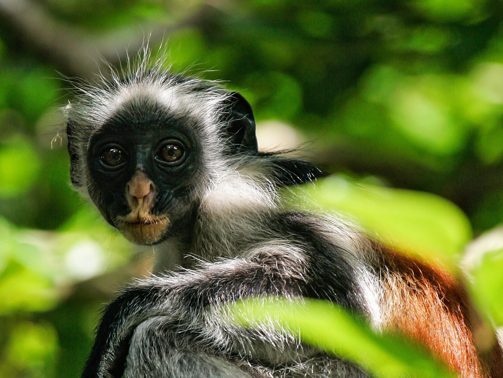 <span>UROA, ZANZIBAR</span>F-ZEEN BOUTIQUE HOTEL 